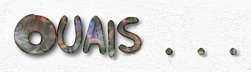 tur14.jpg (11272 octets)